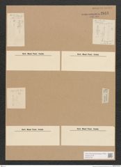 Diatomeae indet. Zeichnungen Sammlung Grunow Nr. 2843 (NHMW-BOT-W0370160)